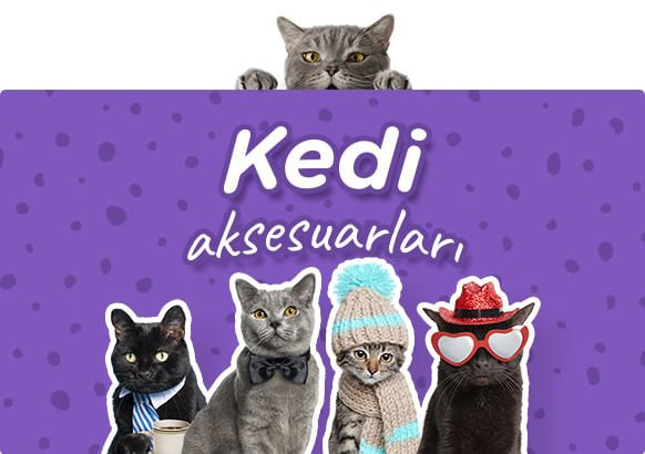 kedi aksesuarları