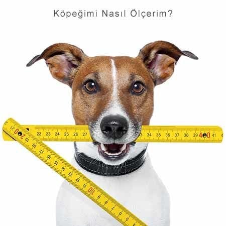 KÖPEĞİMİ NASIL ÖLÇERİM? KÖPEĞİME HANGİ BEDEN KIYAFET ALMALIYIM?