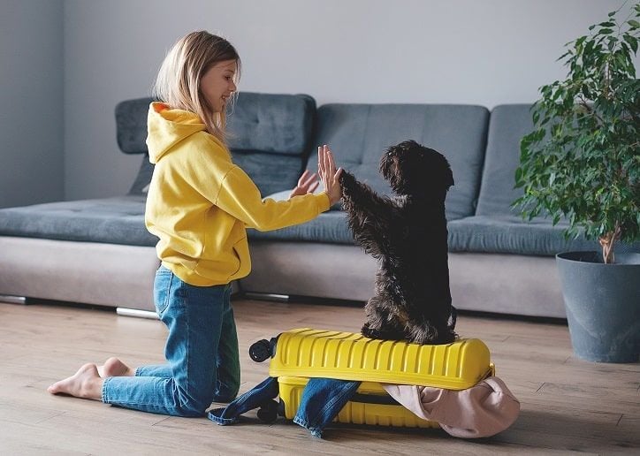 Köpeklerle Seyahat Etmek