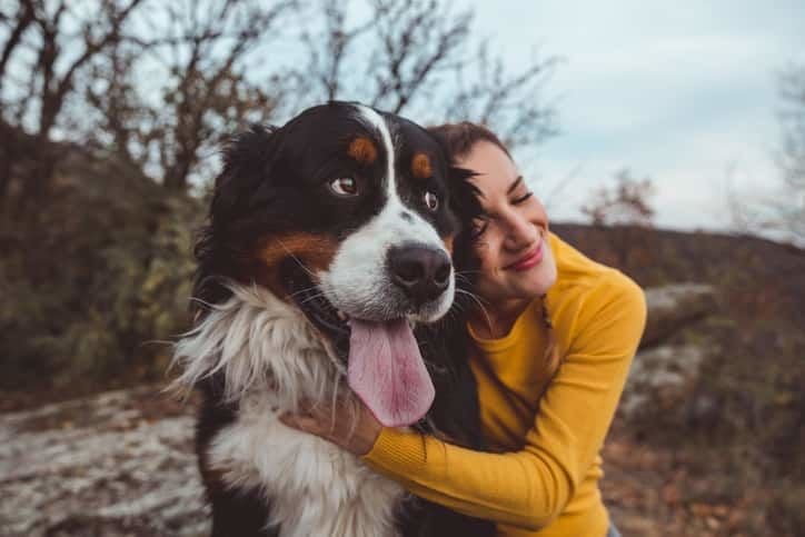 Saint Bernard